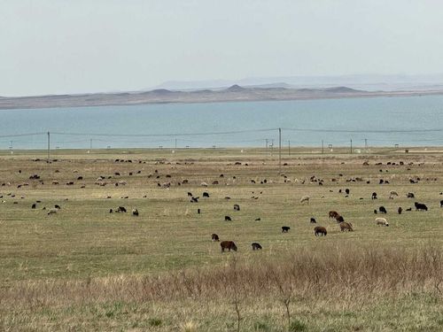 Фото пресс-службы Минсельхозпрода Хакасии